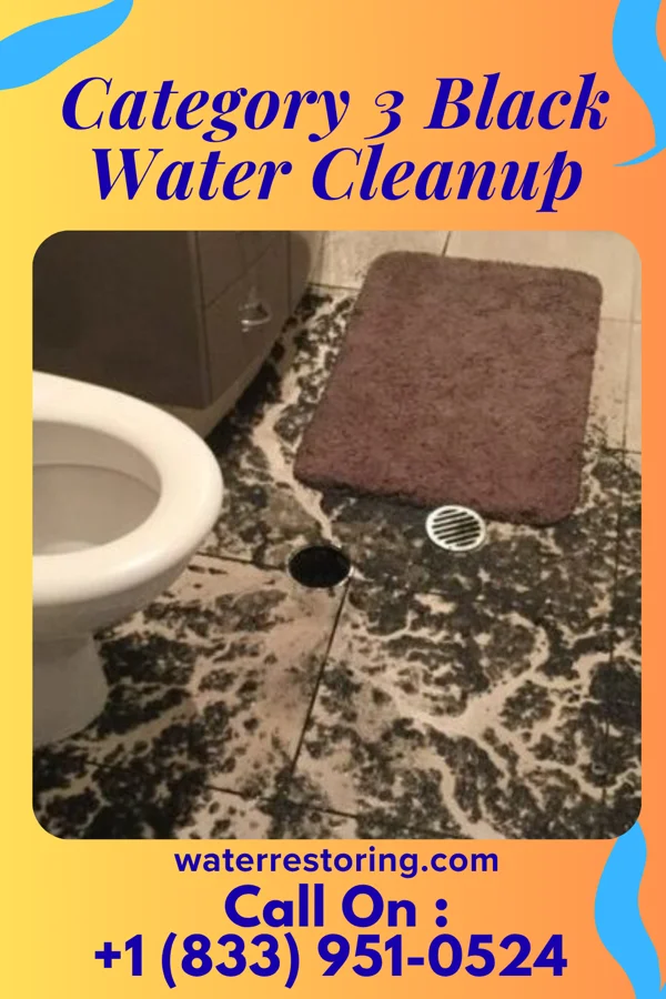 Category 3 Black Water Cleanup in Carlyle, IL