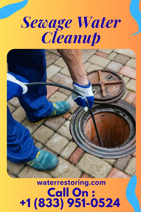 Sewage Water Cleanup in Carlyle, IL