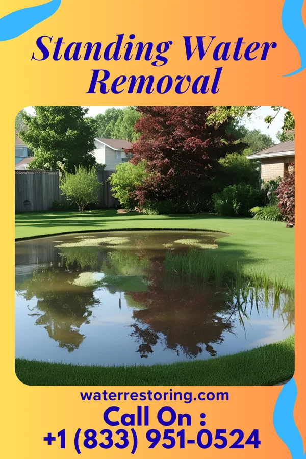 Standing Water Removal in Carlyle, IL